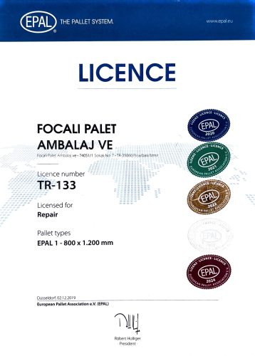 2024-EPAL-LİSANS
